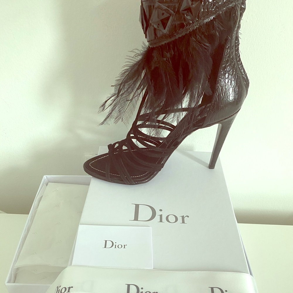 Christian Dior embellished feathers croc stilettos